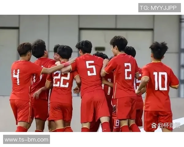 上海足球队实力强劲荣登全国足球实力排行榜第七位