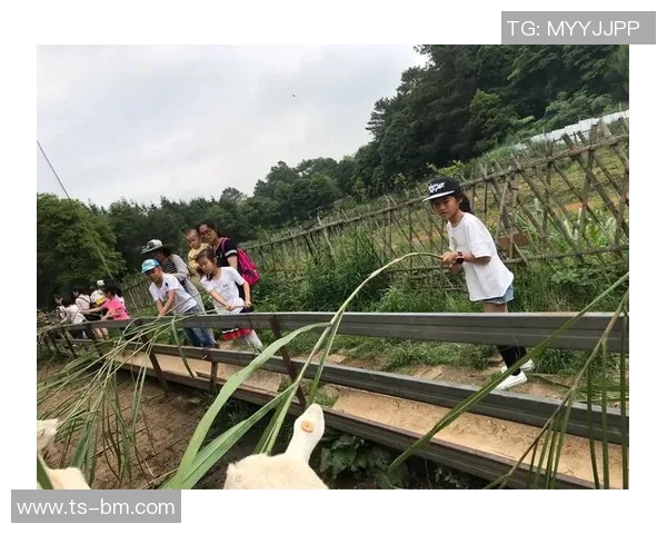 全球足球明星摇篮的传奇俱乐部与他们的成长之路